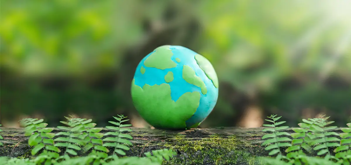 Calderas de gas y energías renovables